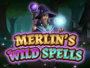 Merlin’s Wild Spells screenshot